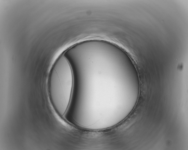 X0000091311519200708101058