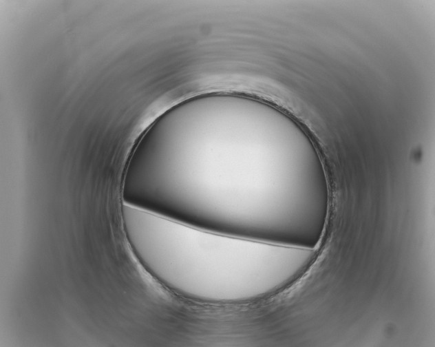 X0000091311521200708101058