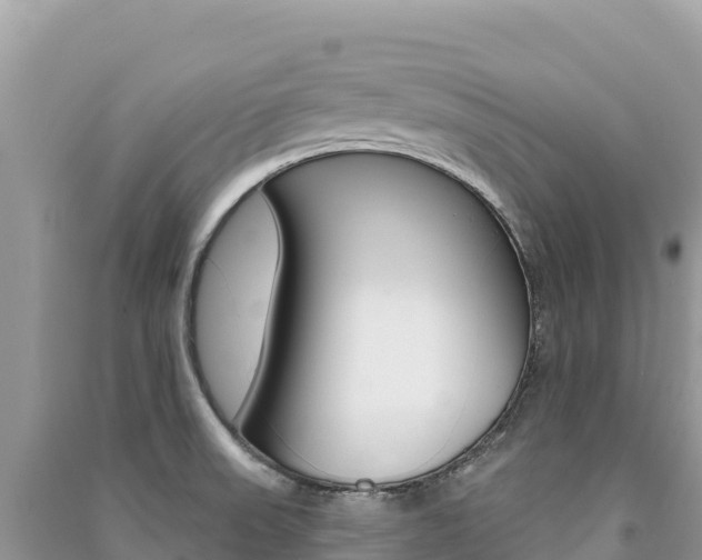X0000091311523200708101058