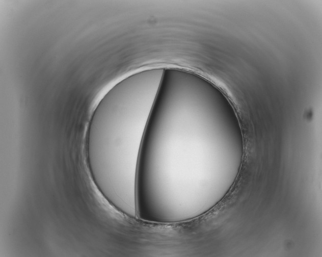 X0000091311524200708101058