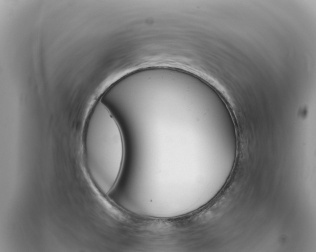 X0000091311525200708101058