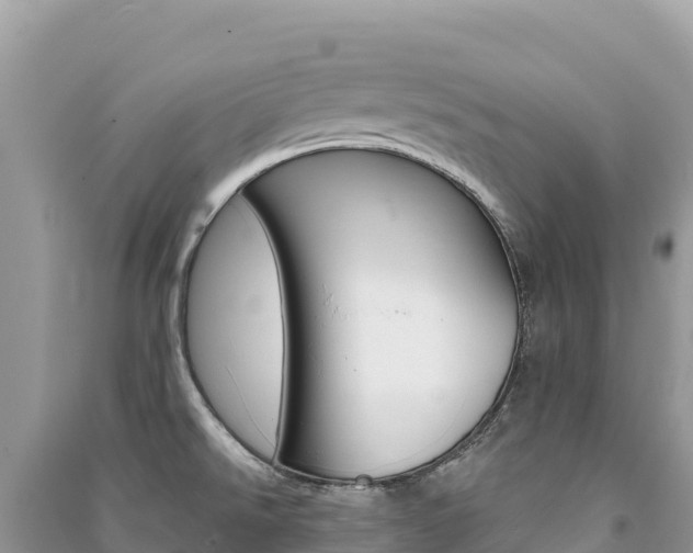 X0000091311526200708101058