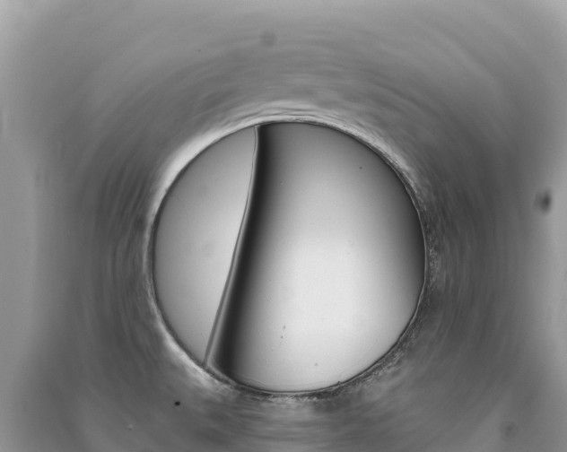 X0000091311527200708101058