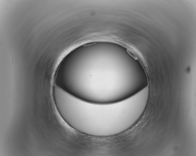X0000091311528200708101058
