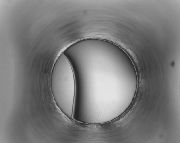 X0000091311529200708101058