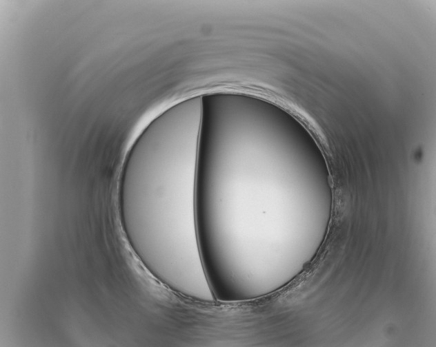 X0000091311530200708101058