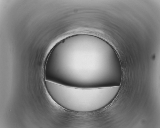 X0000091311531200708101058