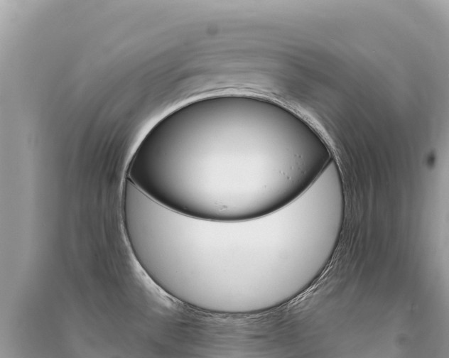 X0000091311532200708101058