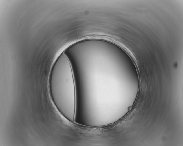 X0000091311533200708101058
