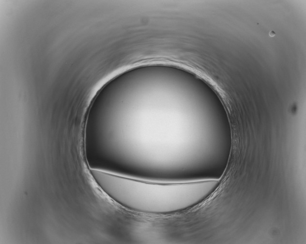 X0000091311534200708101058