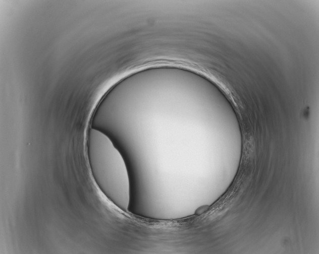 X0000091311535200708101058