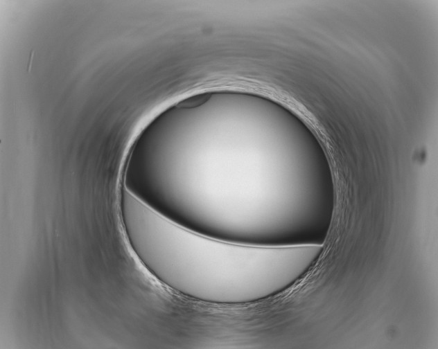 X0000091311536200708101058
