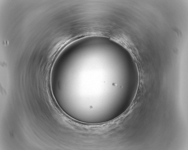 X0000091310001200708101512