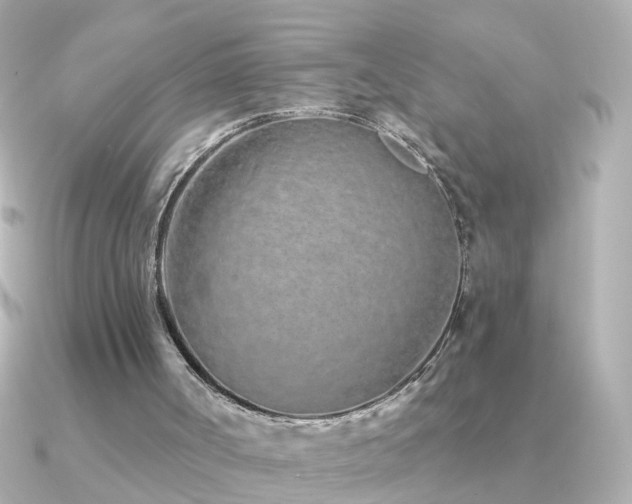 X0000091310002200708101512