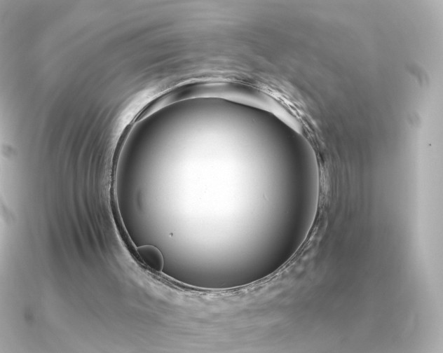 X0000091310003200708101512