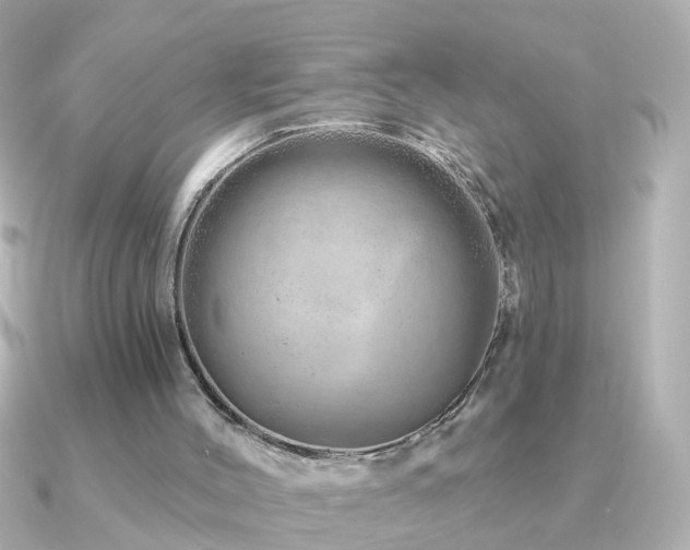 X0000091310004200708101511