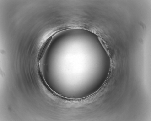 X0000091310005200708101511