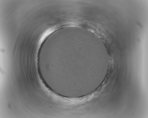 X0000091310006200708101511