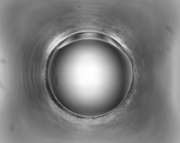 X0000091310007200708101511