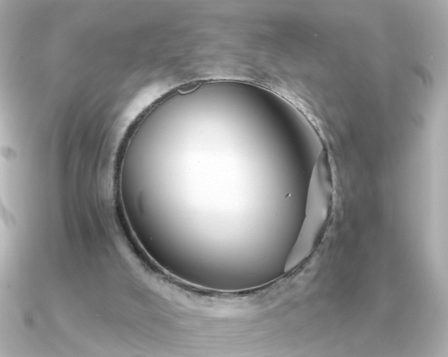 X0000091310008200708101511