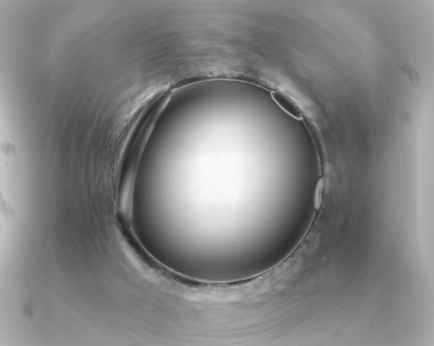 X0000091310009200708101511