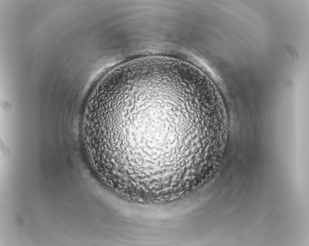 X0000091310010200708101511