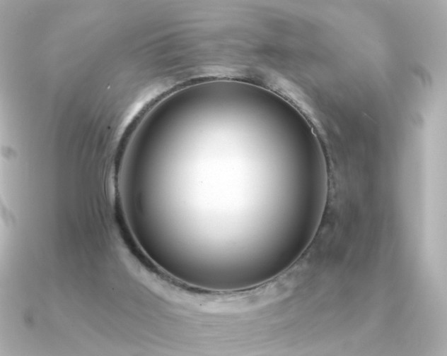 X0000091310011200708101511