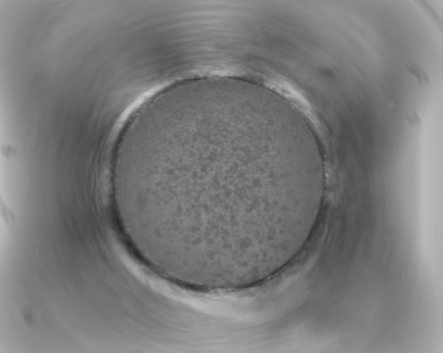 X0000091310012200708101511