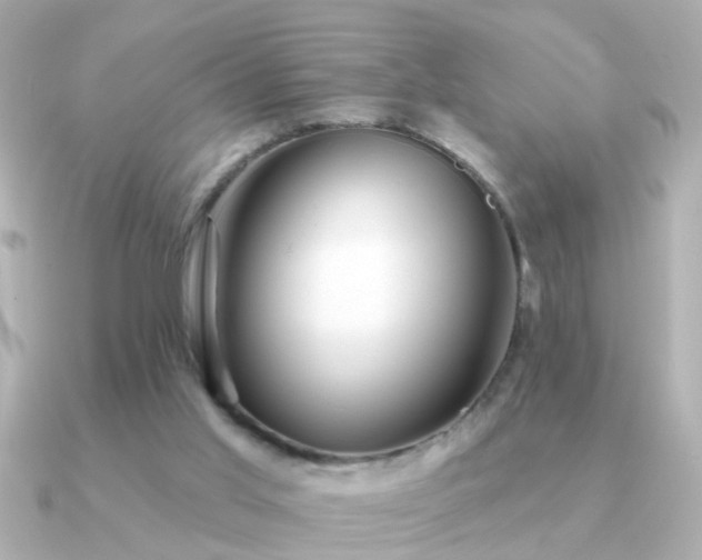 X0000091310013200708101511