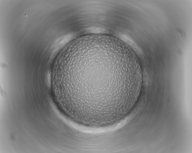 X0000091310014200708101511