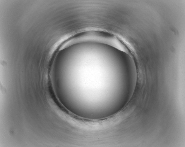 X0000091310015200708101511