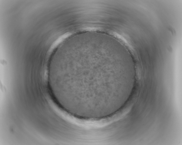 X0000091310016200708101511