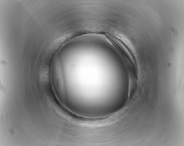 X0000091310017200708101511