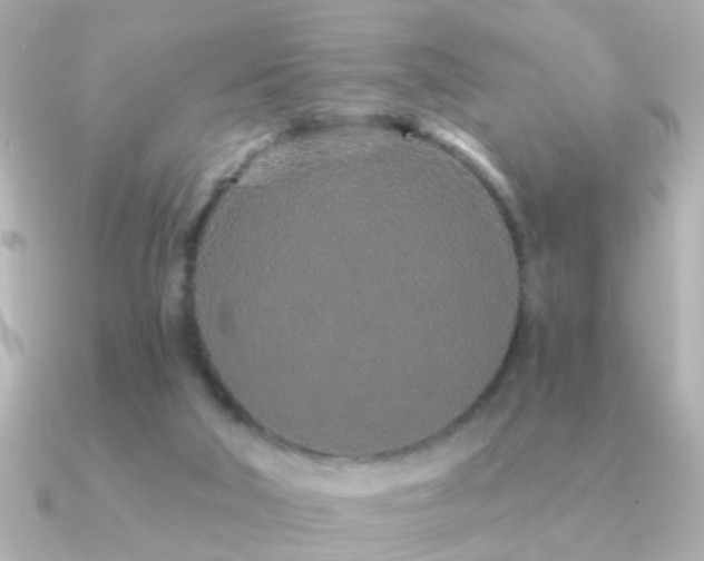 X0000091310018200708101511