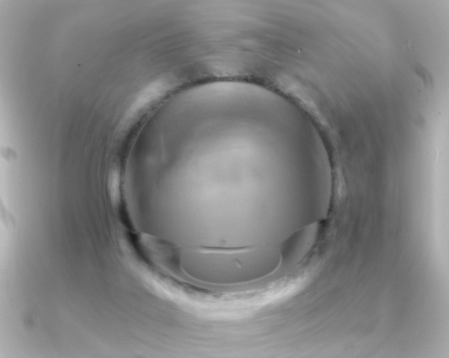 X0000091310019200708101511