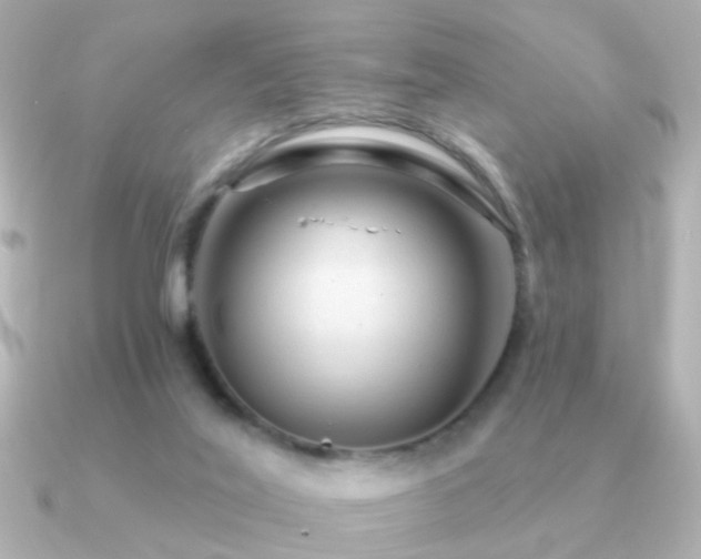 X0000091310020200708101511