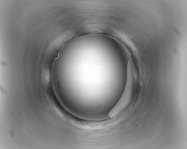 X0000091310021200708101511