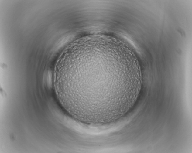 X0000091310022200708101511