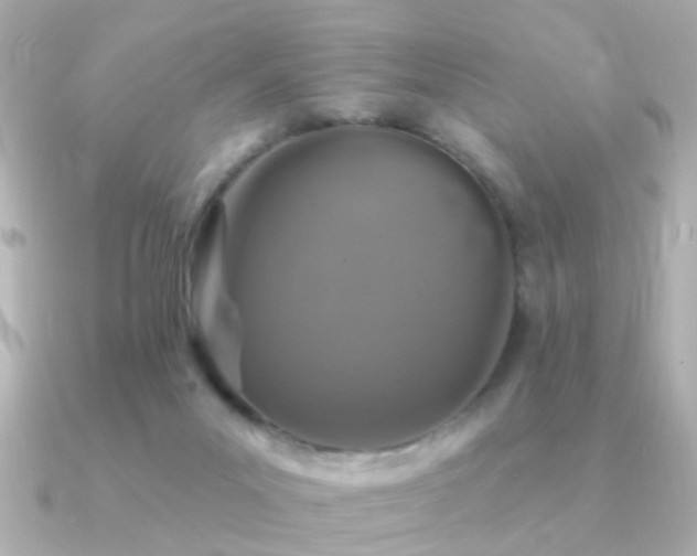 X0000091310023200708101511