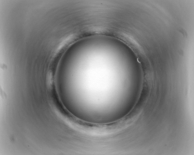 X0000091310024200708101511