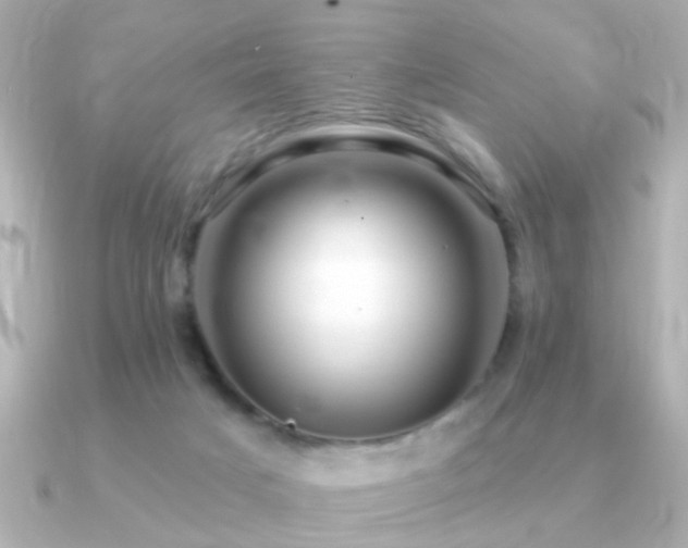 X0000091310025200708101511