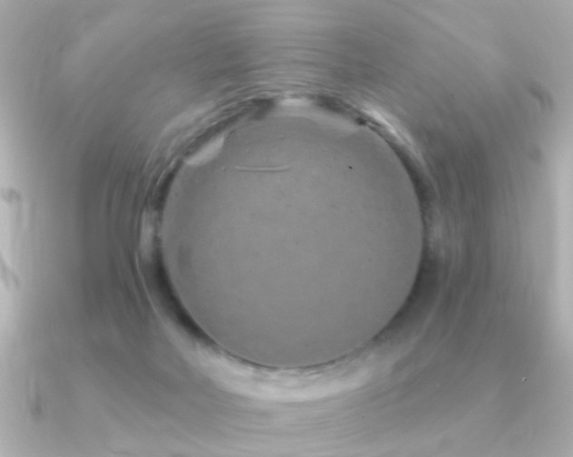 X0000091310026200708101511