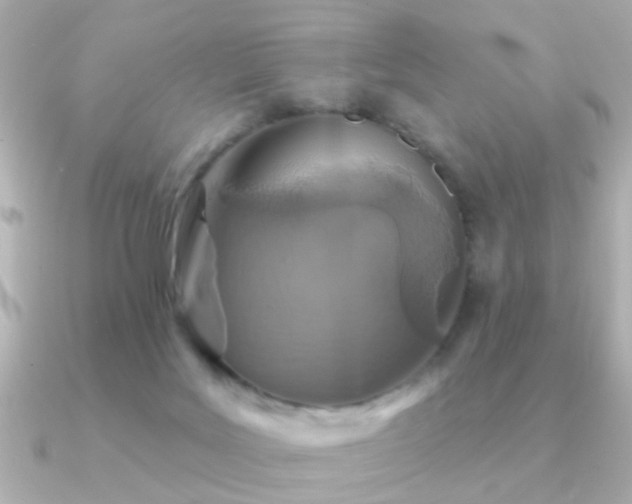 X0000091310027200708101511