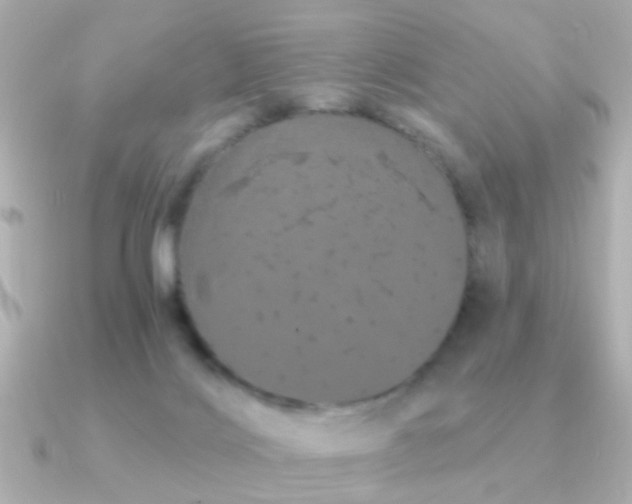 X0000091310028200708101511