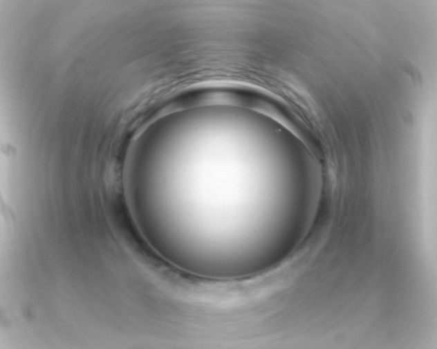 X0000091310029200708101511