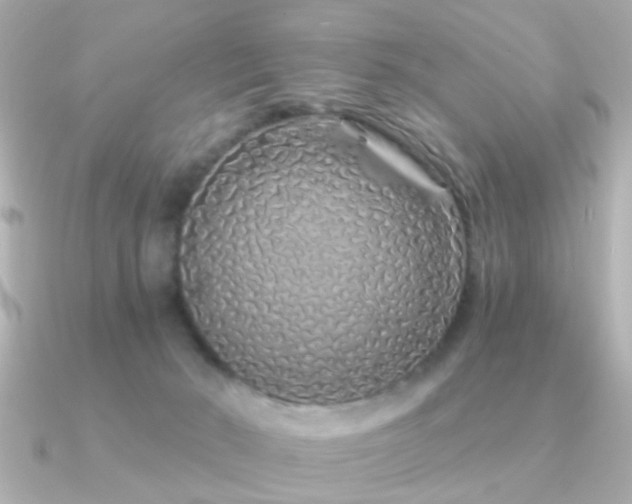 X0000091310030200708101511