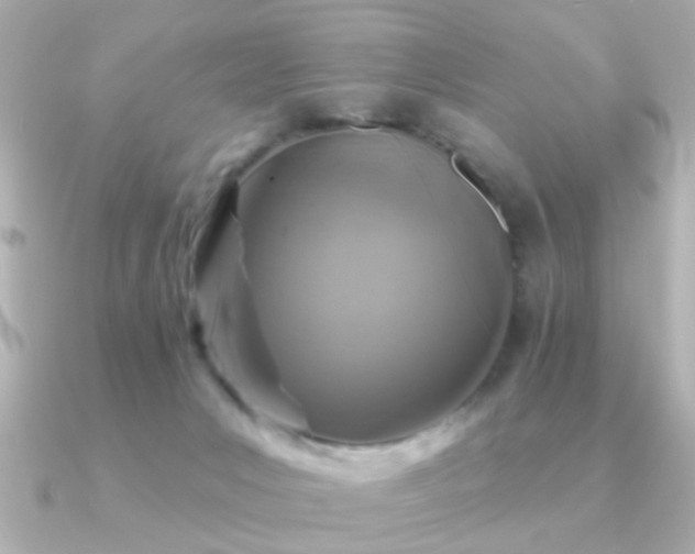 X0000091310031200708101511