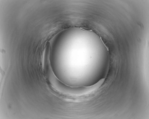 X0000091310033200708101511