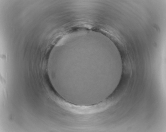 X0000091310034200708101511