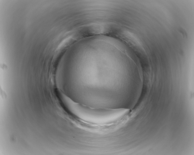 X0000091310035200708101511